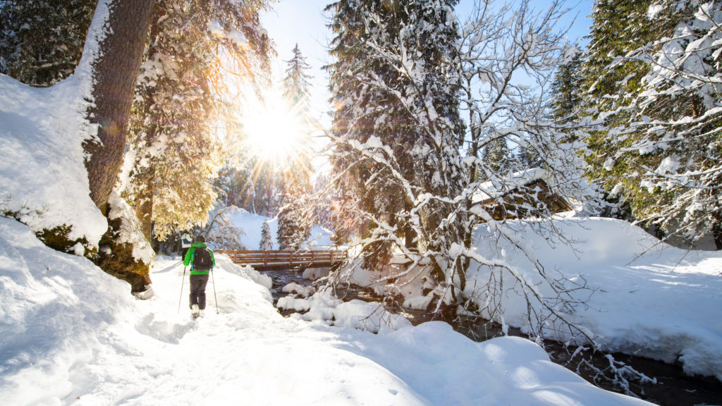 Suivez la Vièze en raquette à neige sous les sapins enneigés du Vallon de They.